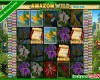 Amazon Wild Slot